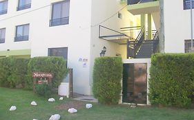Pinares de Colon